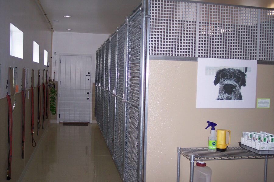 Kennel room
